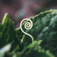 bogomil-mihaylov-EPdCJtYPrPE-unsplash